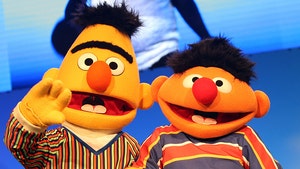 Bert and Ernie Are a Gay Couple Says 'Sesame Street' Writer, But Denied by Show