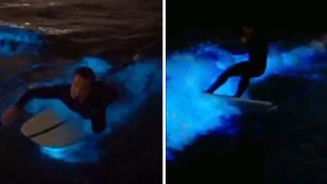 Wake Surfer's Awesome Neon Ride in Bioluminescent Waves