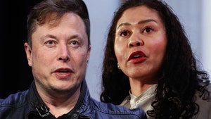 Elon Musk Blasts City of S.F. for Investigating Twitter's Alleged Office Bedrooms