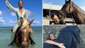 Stars With Horses -- Hay!