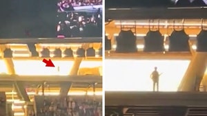 Taylor Swift's Concert Crashed By Mysterious Shadowy Figure Watching from Above