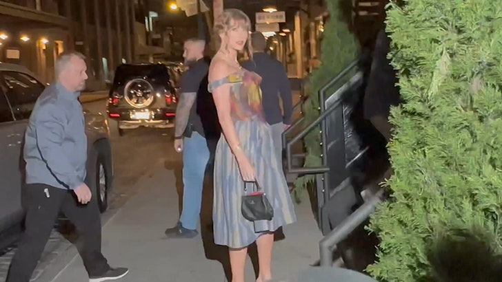 Taylor Swift and Zoë Kravitz Have a Long Dinner in New York