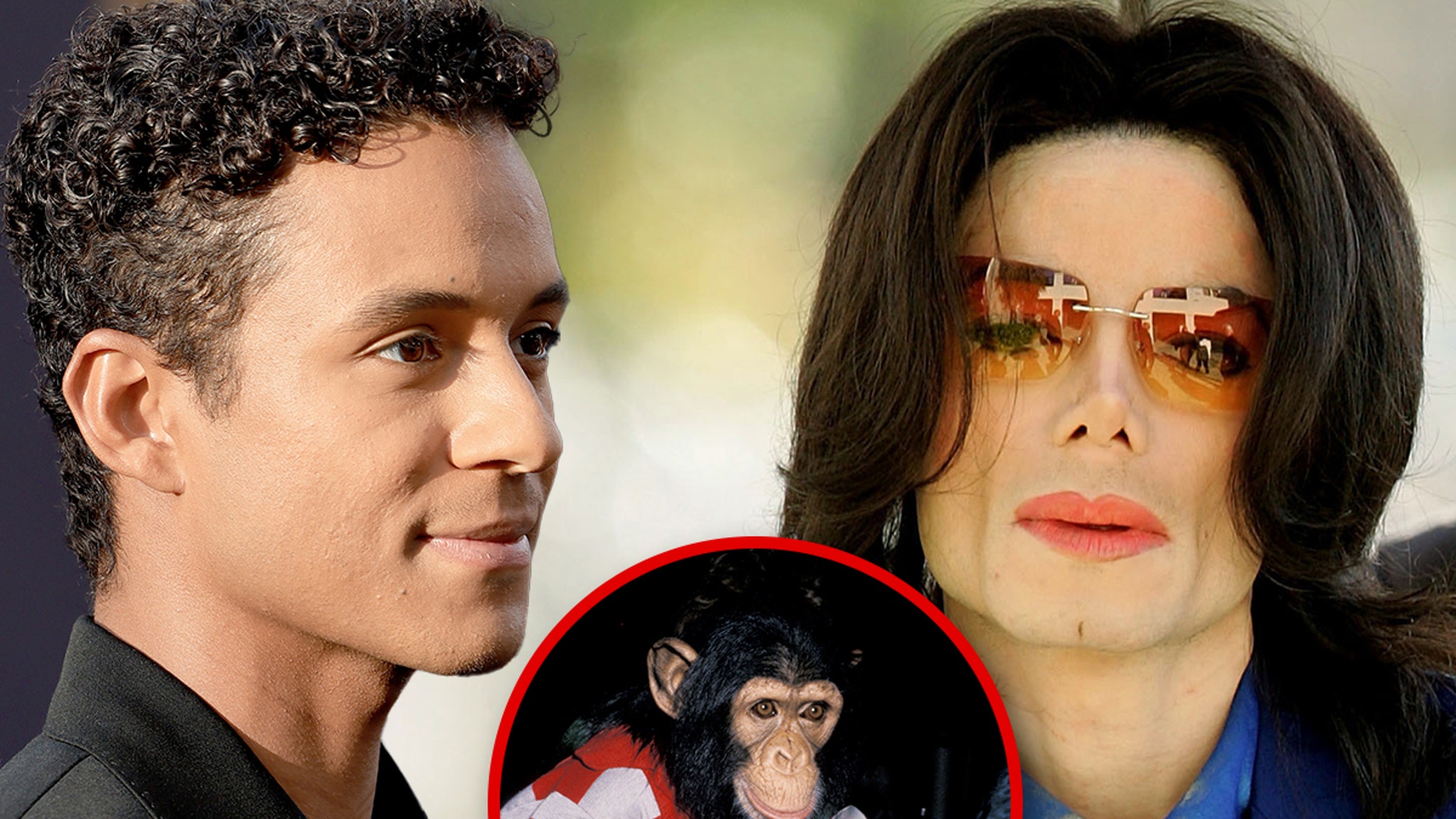 Michael Jackson's Chimp Bubbles Was Not Visited by Jaafar, Online Pics Are Fake