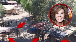 linda-blair-primary-08-03-2026