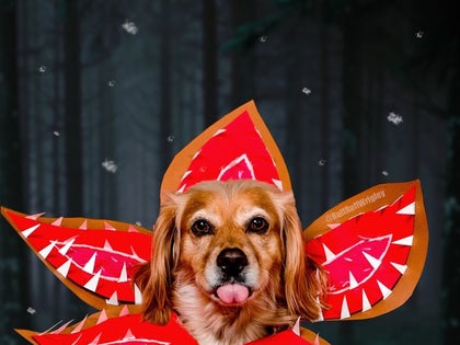 Wrigley as The Demogorgon