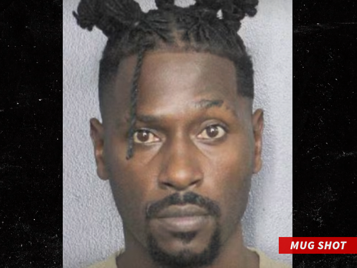 Antonio Brown mug shot