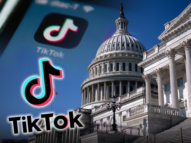 TikTok Returning Online in the U.S. After Trump Declared He'd Save It