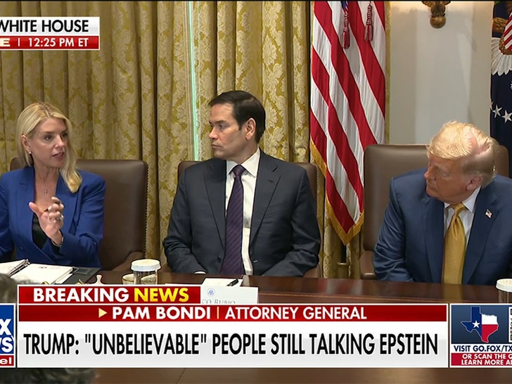 Palm-Bondi-Call-07-08-2025