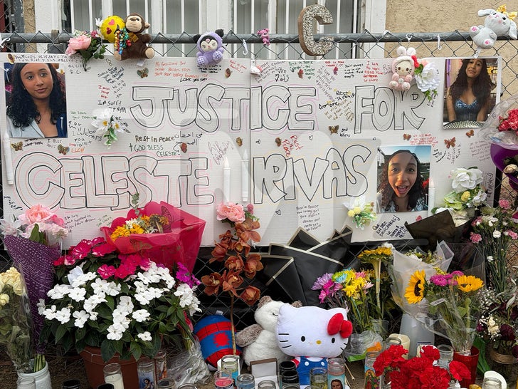 Celeste Memorial And Family Home in Lake Elsinore