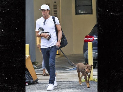 tom brady new dog backgrid main