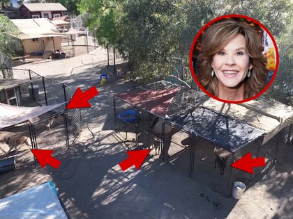 linda-blair-primary-08-03-2026