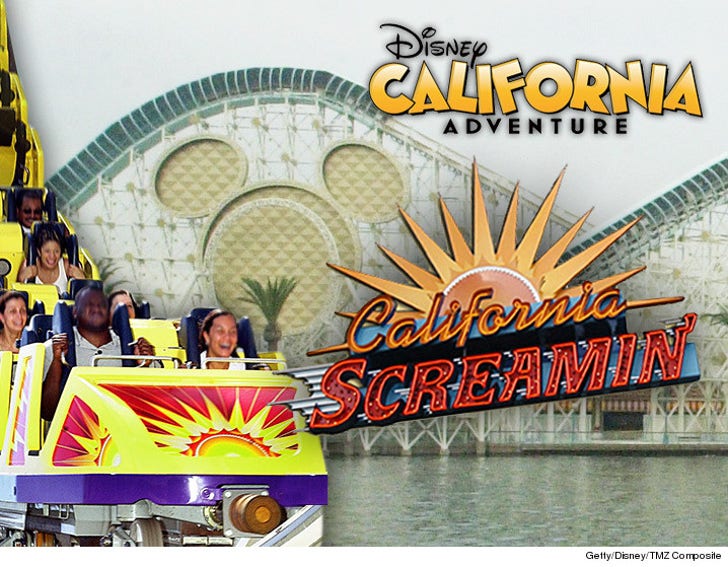 Disney Resorts Sued -- You Had a Loose Screw That :: 0603-california-screamin-disney-getty-4