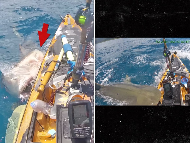Shark knocks terrified 15-year-old girl out of her kayak in