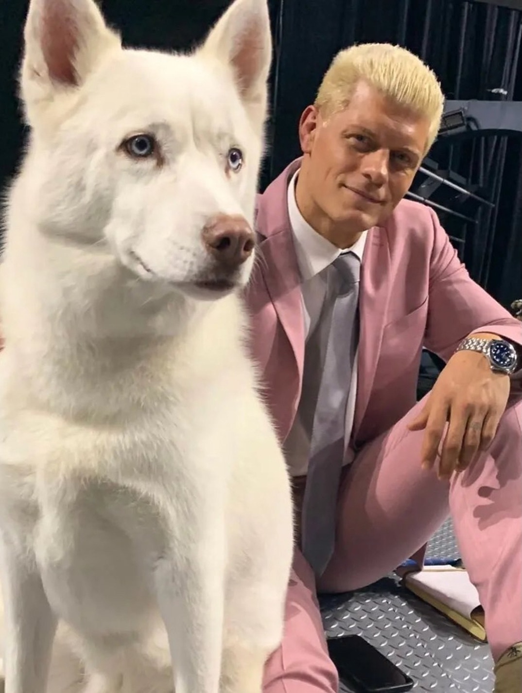 Cody Rhodes Dog 1