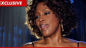 Whitney Houston 'Partied Heavily' the Night Before She Died