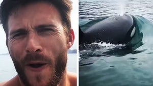 Scott Eastwood Has a Very Close Encounter with Orcas in Mexico