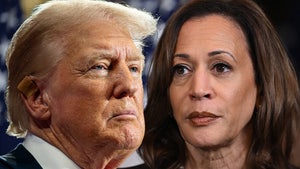 kamala harris donald trump debate main