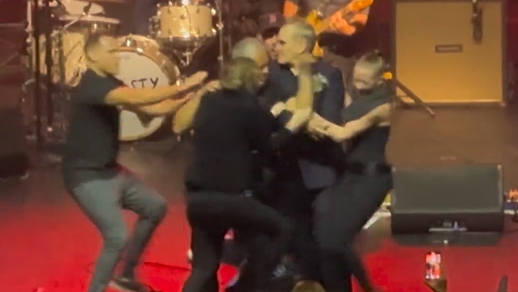 Morrissey Concert Ends After Swarm of Fans Rush Stage, Bodyguard Injured