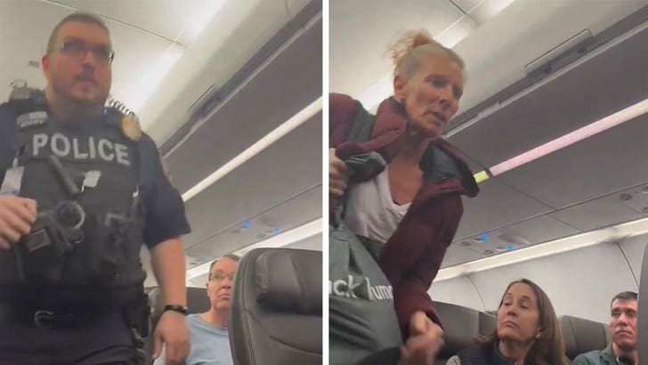 111325_american_airlines_kal