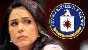 Tulsi Gabbard CIA Getty