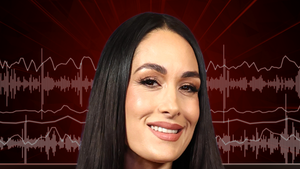 brie-bella-audio-art-primary-1