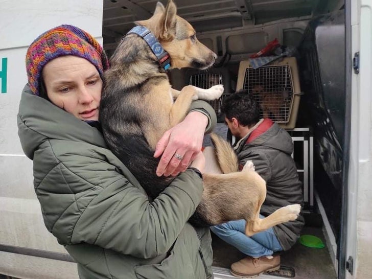 Ukrainian Woman Katya Kurletz Helping Rescue Animals from Bombed Cities