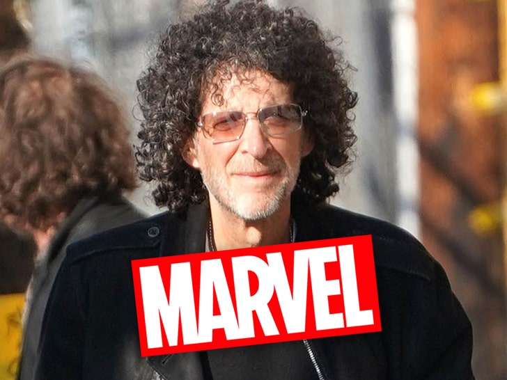Howard Stern's Hot Mic Moment Leaks Upcoming Marvel Project.jpg
