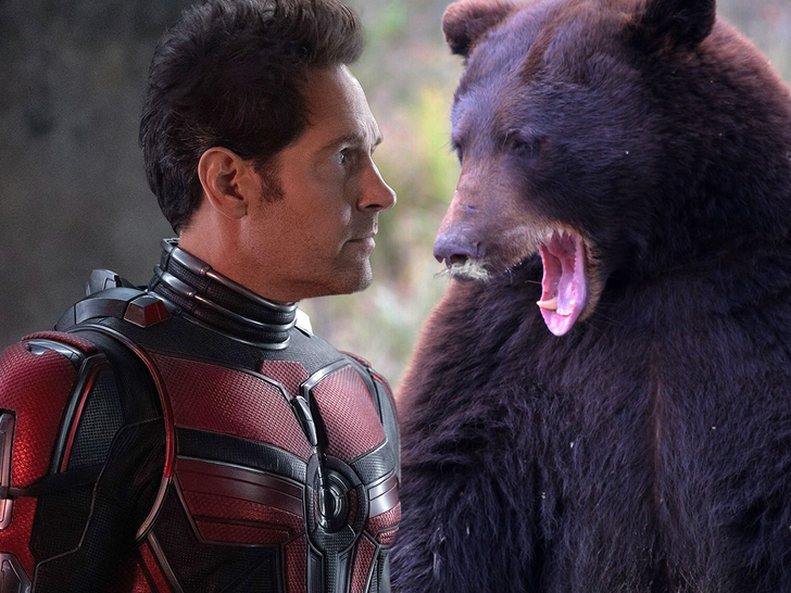 Cocaine Bear' versus 'Ant-Man' at the box office: Who won? - Los Angeles  Times