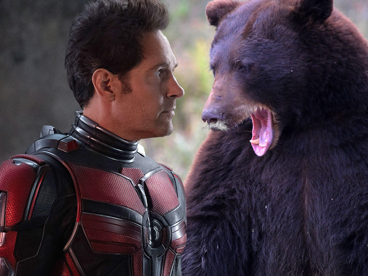 Cocaine Bear' Mauls 'Ant-Man' 3 Box Office