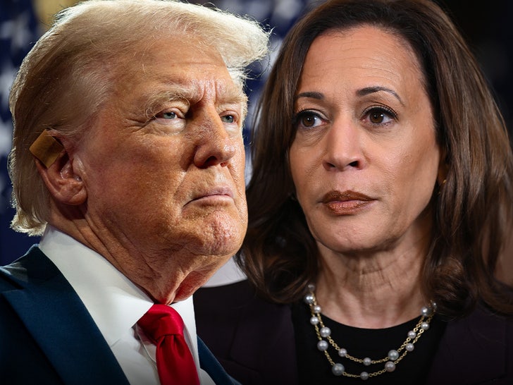 kamala harris donald trump debate main