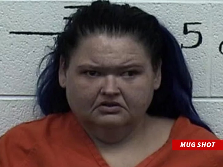 ‘1,000-Lb. Sisters’ Star Amy Slaton Busted for Drugs, Child Endangerment