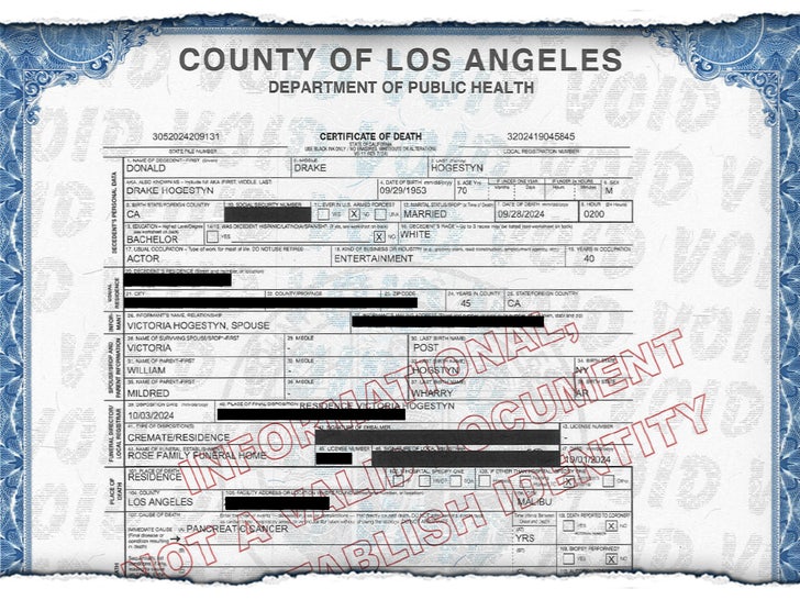 101124 david hogestyn death certificate