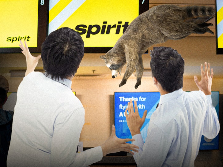 Raccoon Falls Through LaGuardia Airport Ceiling, Causes Total Chaos, on Video