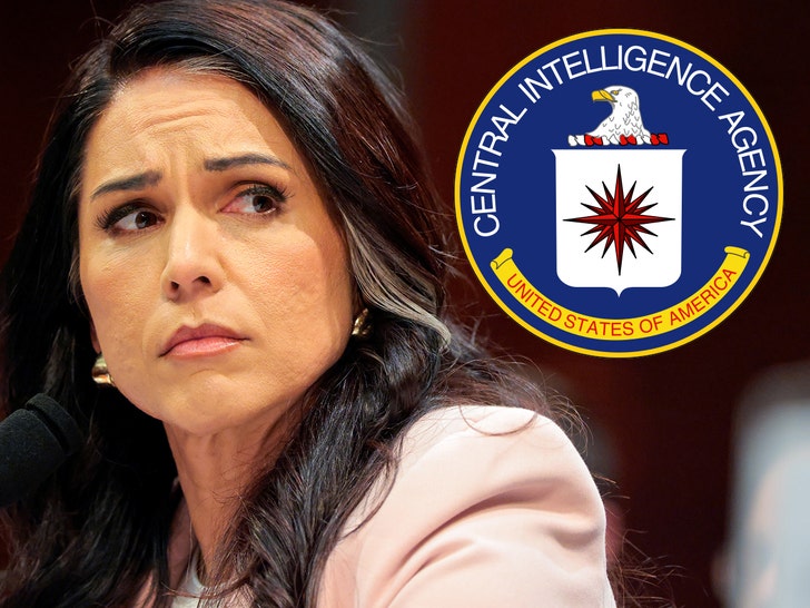CIA Allegedly Seized JFK Files From Tulsi Gabbard’s Office, Whistleblower Claims