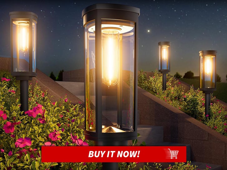 BITPOTT-Bright-Solar-Pathway-Lights-Upgrade-Your-Backyard-MAIN