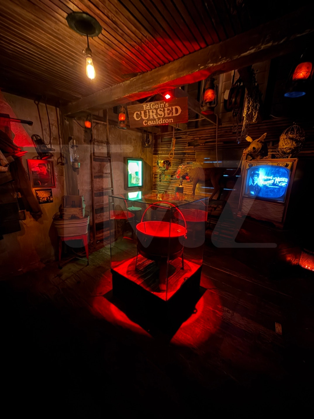 The Haunted Museum Cauldron Photos 6