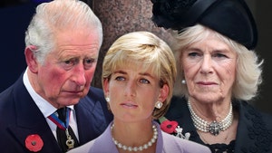 Netflix 'The Crown' Triggers Anger Over Portrayal of Prince Charles/Diana's Relationship