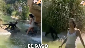 Woman Who Jumped into Spider Monkey Enclosure at Zoo Fired From Job