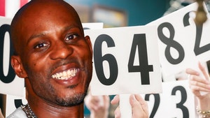 dmx auction getty comp