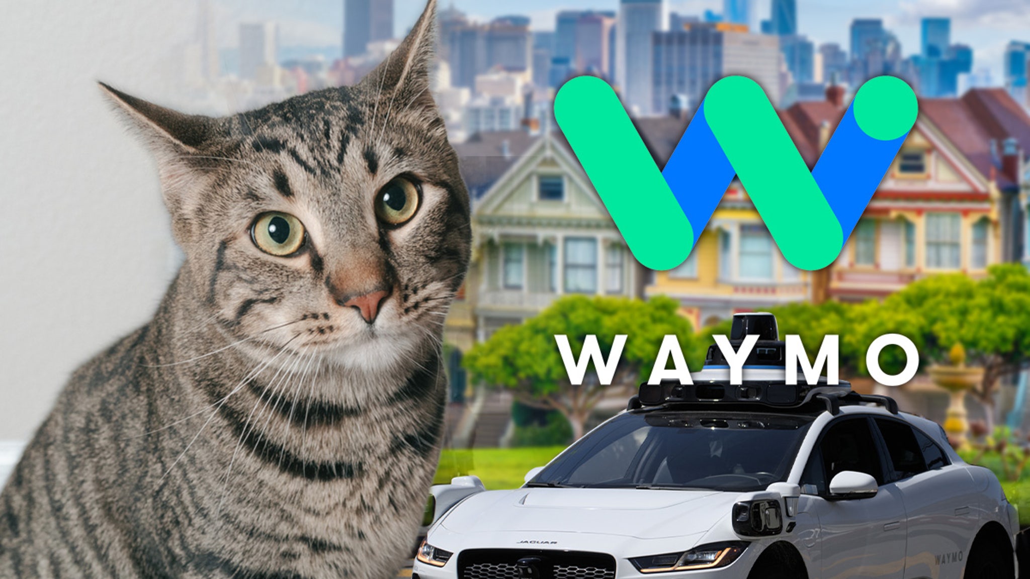 El querido gato de la bodega de San Francisco muere atropellado por un vehículo autónomo Waymo, dicen los vecinos El querido gato de la bodega de San Francisco muere atropellado por un vehículo autónomo Waymo, dicen los vecinos