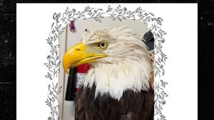 the ojai raptor center facebook 3
