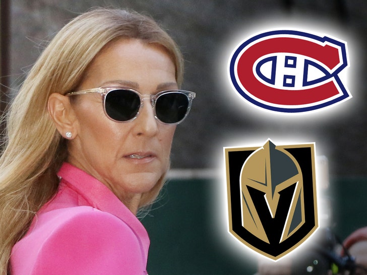 Celine Dion says she had nothing to do with Golden Knights photo