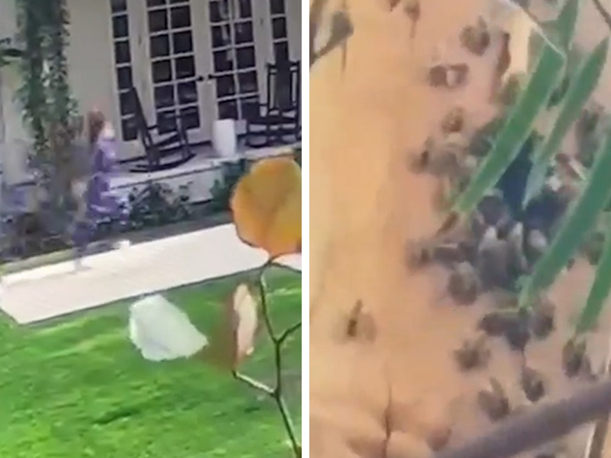 Kyle Richards Hospitalized After Bee Attack at Home, Posts Video image