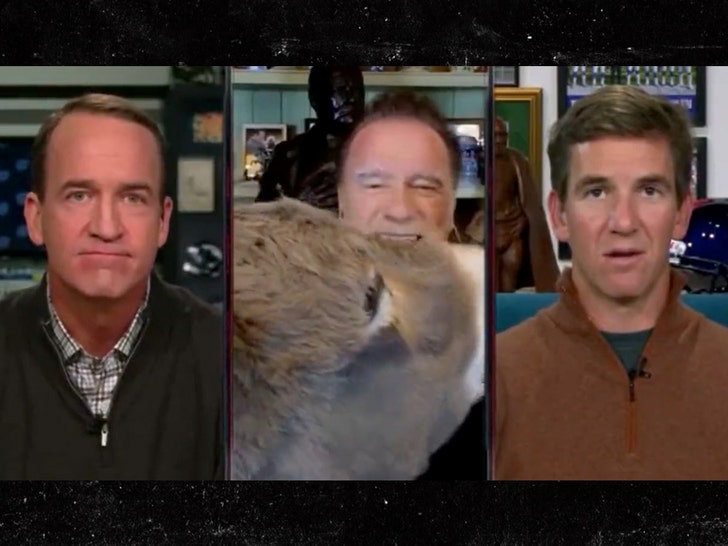 Peyton Manning choqué après qu’Arnold Schwarzenegger ait nourri un âne à la télévision