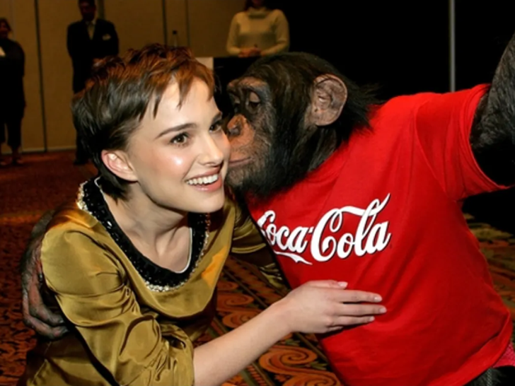 Animals Gone Wild!