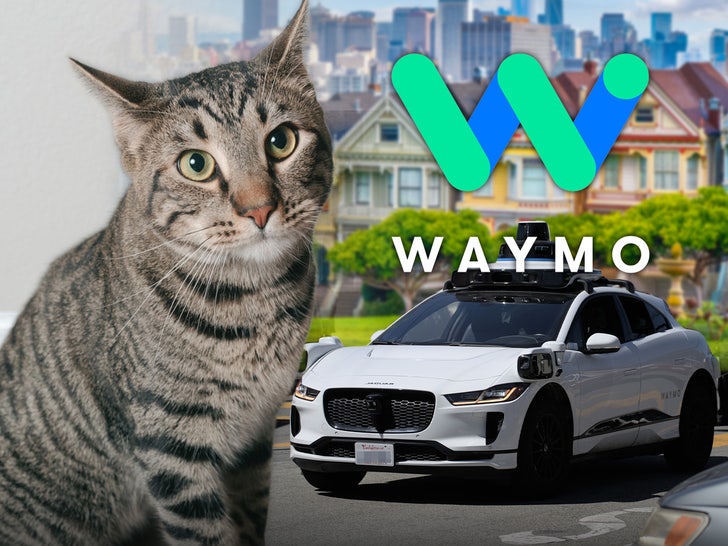 cat waymo san fran main getty