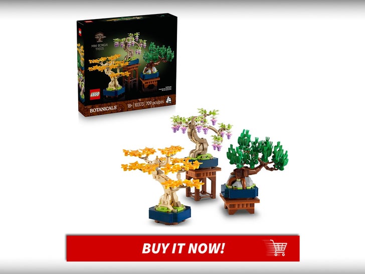 Mini-Bonsai-Trees-Building-Set-Lego-Botanicals-MAIN