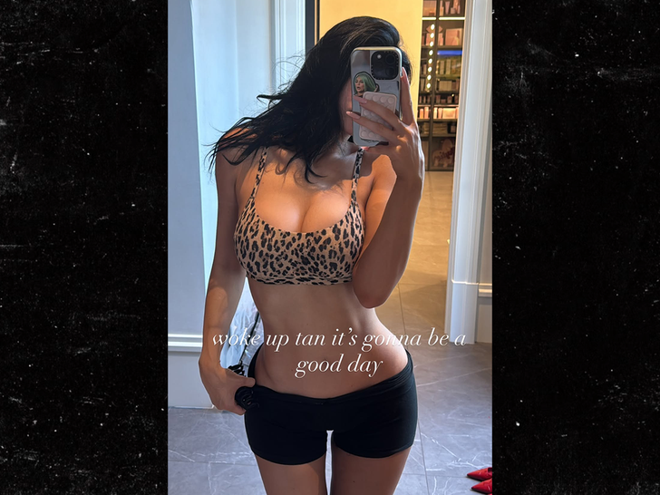 kylie jenner bikini top selfie insta