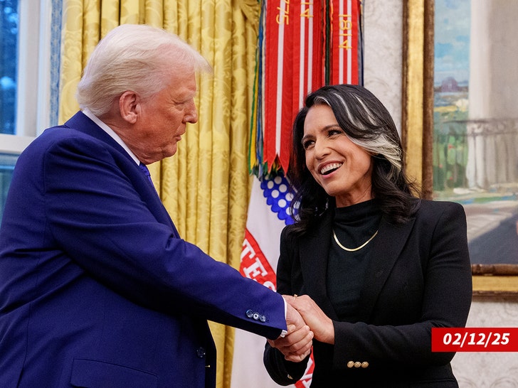 sub tulsi gabbard donald trump getty