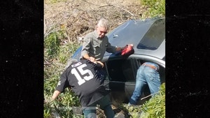 Harrison Ford Helps Woman Who Crashed Car Off Highway